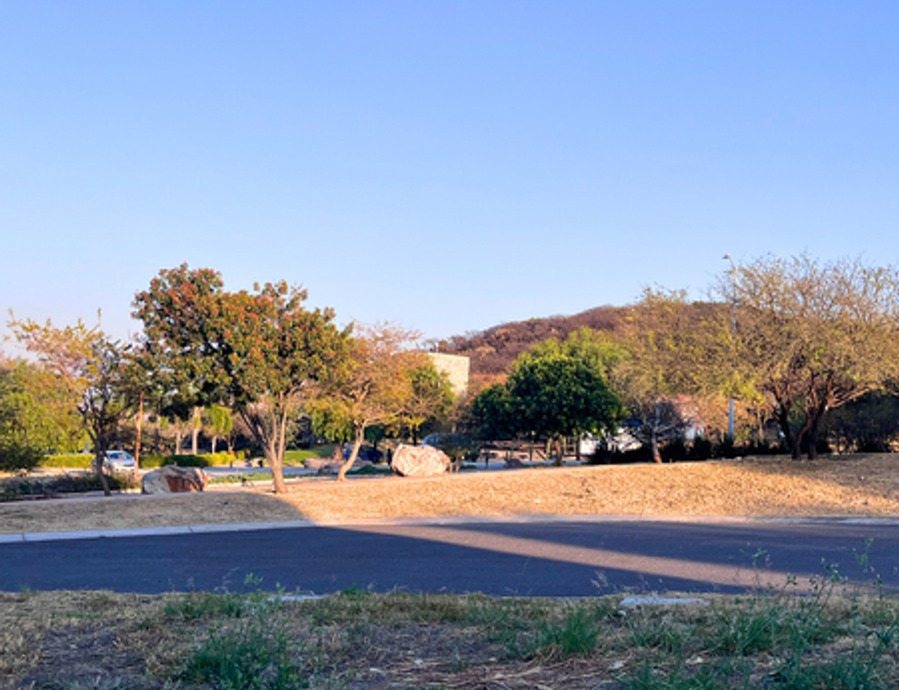 Terreno frente a área verde en Preserve Arbolé